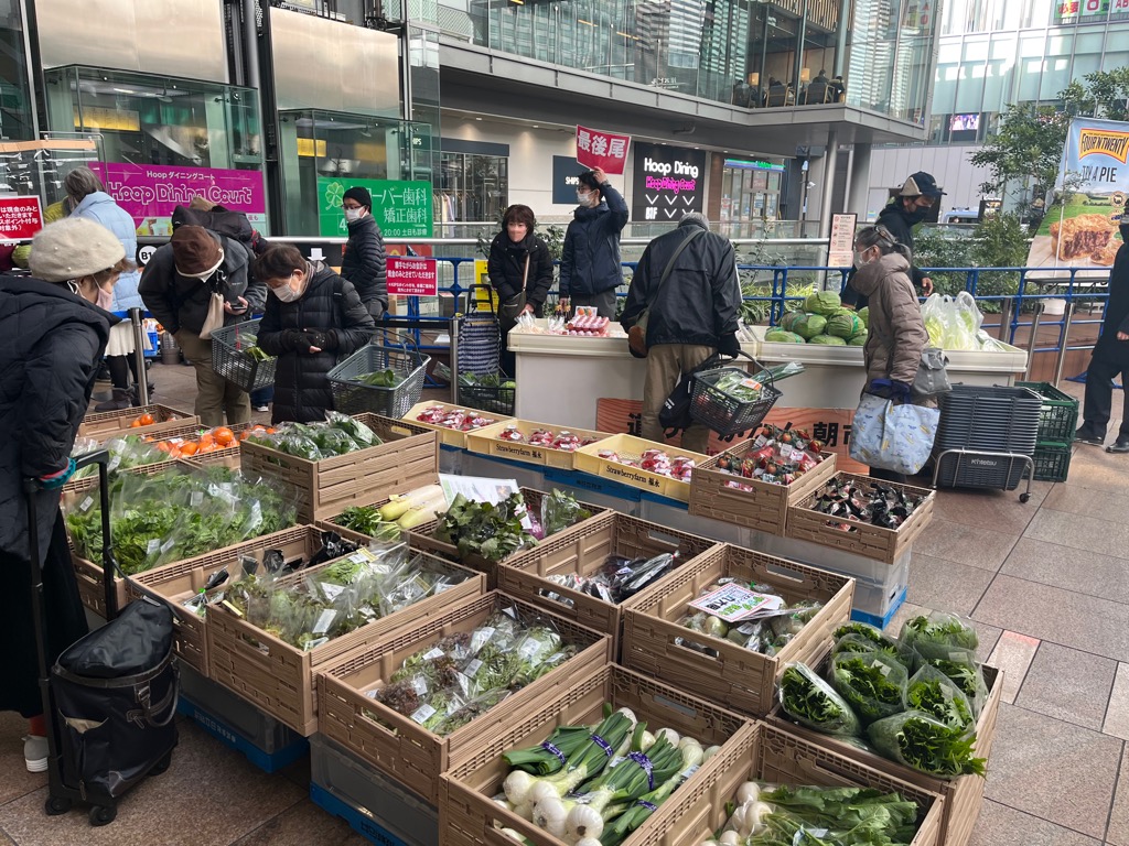 新鮮お野菜