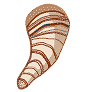 石川早生(サトイモ)のイラスト