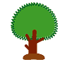 観賞用樹木のイラスト