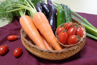 カゴの中に人参やナス、キュウリやプチトマトなどの新鮮な野菜が並んでいる写真