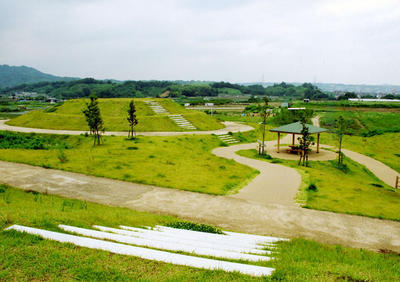 尾根の上に多くの古墳がある寛弘寺古墳公園の全景写真