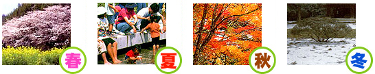 春:桜と菜の花、夏:親子が水遊び、秋:紅葉、冬:大きな木の下に雪の積もっている4枚の四季の写真