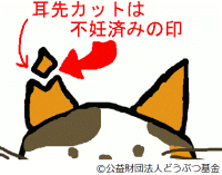 耳先をV字にカットし、耳の形が桜の花びらのようになっているさくらねこのイラスト