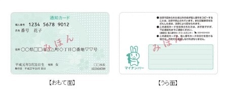 マイナンバー通知カード おもて面、うら面の見本
