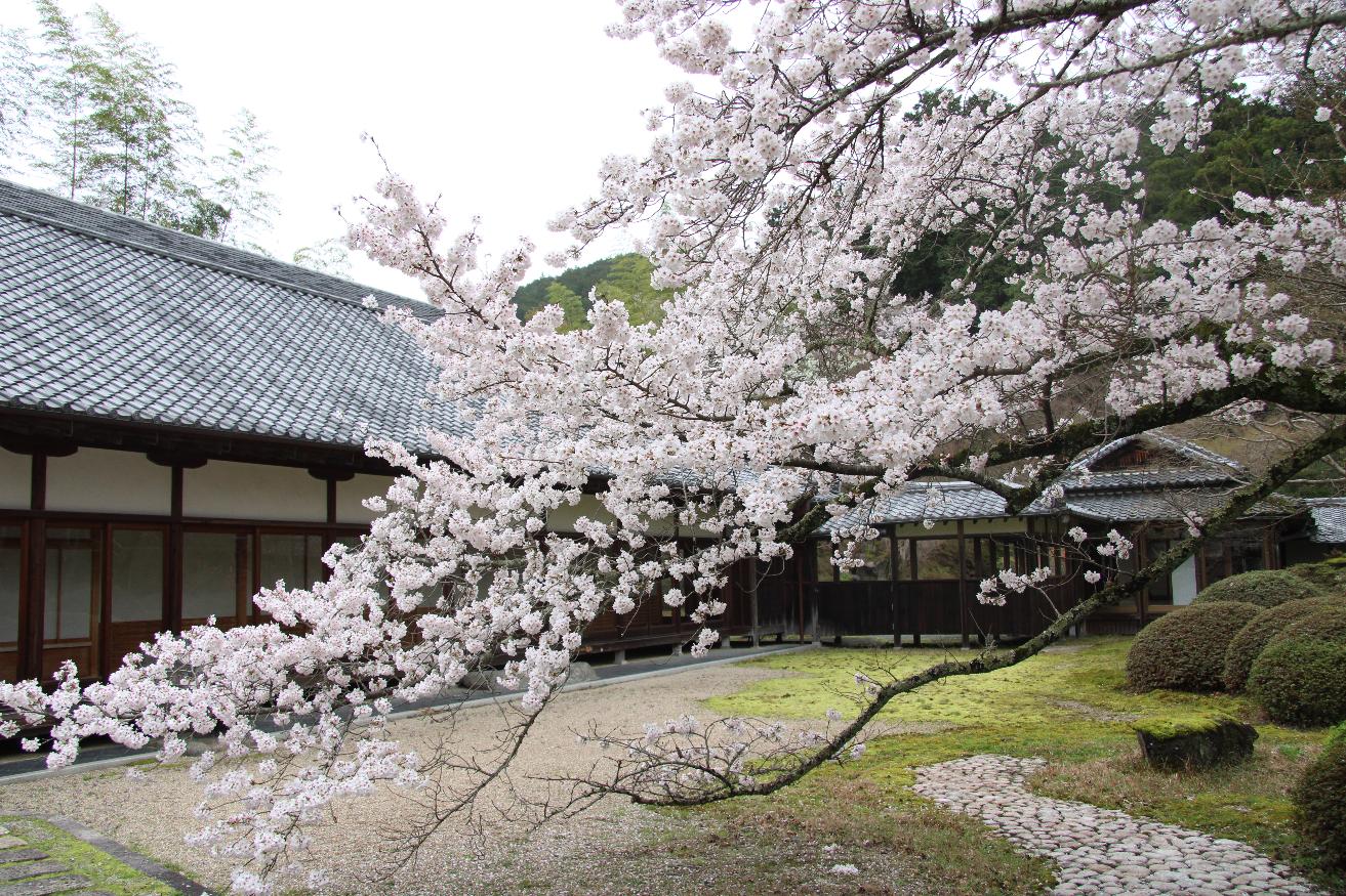 河南町弘川寺