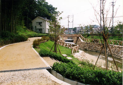 島川の左側に遊歩道が設置されている緑豊かな石川公園の写真