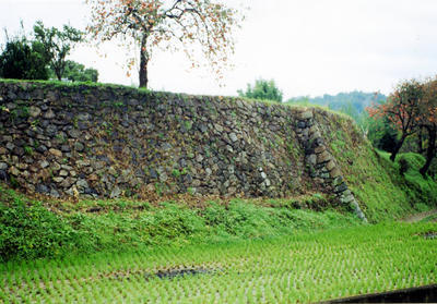 高い石垣が張り巡らされている白木陣屋跡の写真