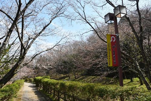 近つ飛鳥博物館