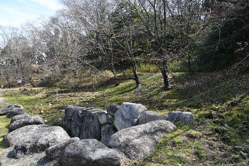 近つ飛鳥博物館