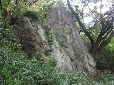 山の斜面に沿って真っすぐな形をした巨石が突出している鉾立石の写真