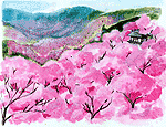 満開の桜の花が咲いている吉野山の桜の木のイラスト