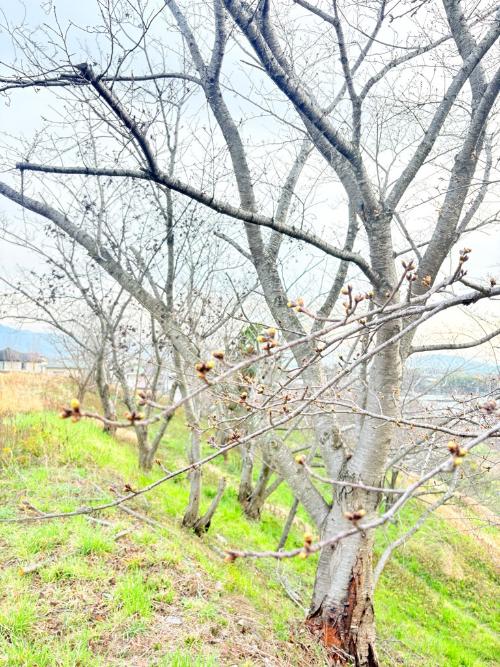 大宝公民館