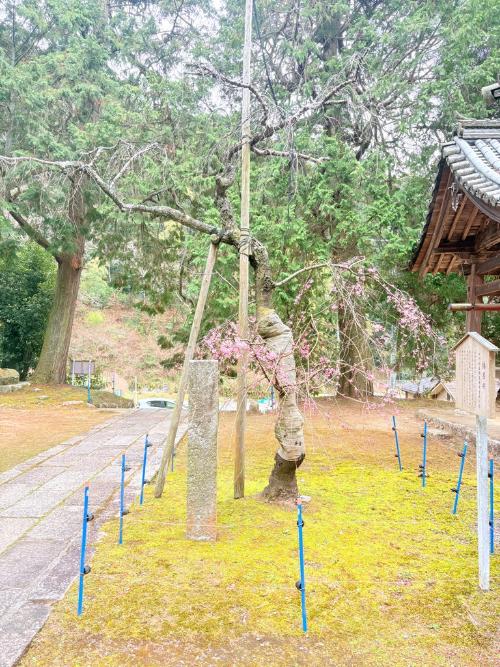 弘川寺
