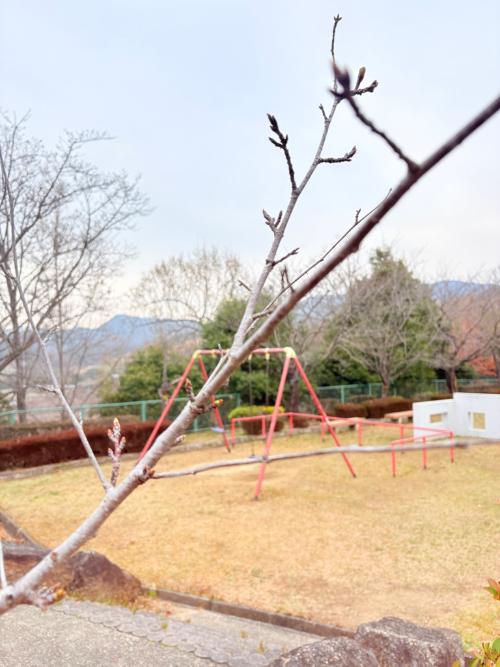 白木山公園