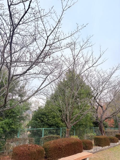 白木山公園