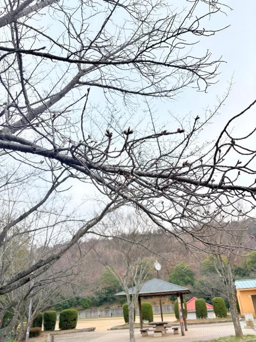 白木山公園