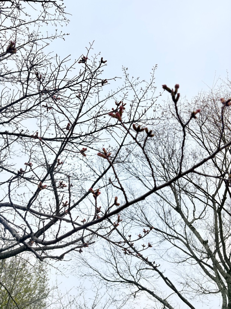 白木山公園