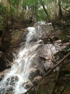 勢いよく水が流れ落ちている笙の滝の写真