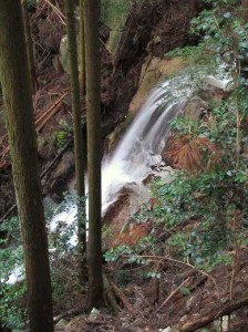 水が流れている笙の滝を横から撮影した写真