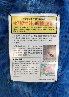 青色のネットに掲示された被害予防対策のチラシの写真