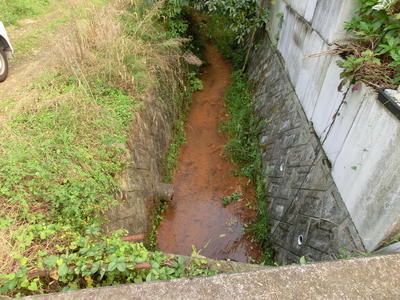 水路の底が赤褐色になっている写真