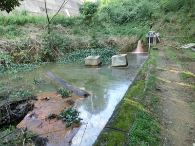 水面に油のようなものが浮いているように見える池の写真