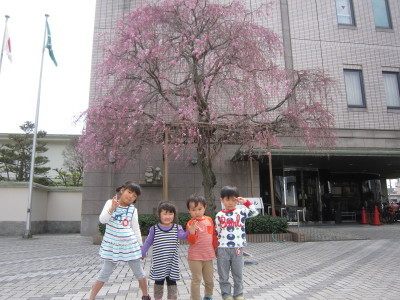 ピンク色の花が咲いた木の前で横一列に並んでポーズをとる子供たちの写真