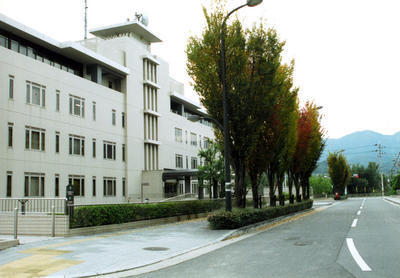 建物の向かいに背の高い木が植えられた歩道がある河南町役場の外観写真