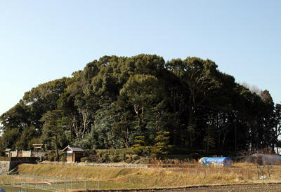 田畑の中にある、背の高い木々が茂った推古天皇陵の写真