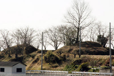 道沿いの小高い場所の木々の間に見える、二子塚古墳の写真