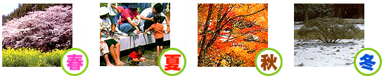 春：桜と菜の花、夏：親子が水遊び、秋：紅葉、冬：大きな木の下に雪の積もっている4枚の四季の写真
