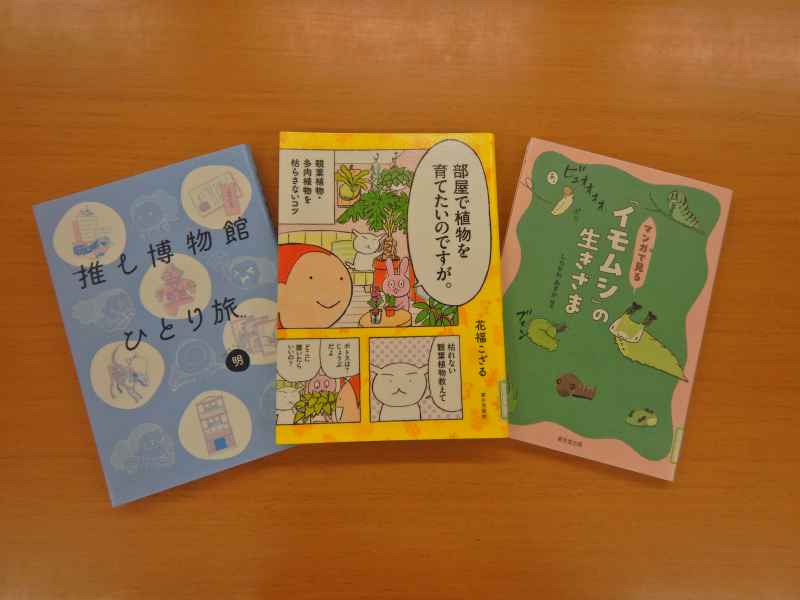 今日はマンガで
